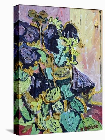 Highgate Petunias-Brenda Brin Booker-Stretched Canvas