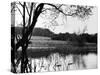 Highgate Pond-null-Stretched Canvas