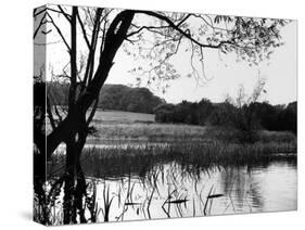 Highgate Pond-null-Stretched Canvas