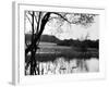 Highgate Pond-null-Framed Photographic Print