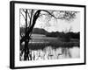 Highgate Pond-null-Framed Photographic Print