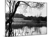 Highgate Pond-null-Mounted Photographic Print