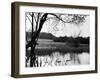 Highgate Pond-null-Framed Photographic Print