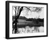 Highgate Pond-null-Framed Photographic Print