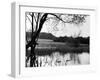 Highgate Pond-null-Framed Photographic Print