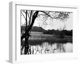 Highgate Pond-null-Framed Photographic Print