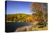 Highland Autumn I-Alan Hausenflock-Stretched Canvas