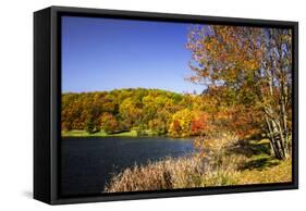 Highland Autumn I-Alan Hausenflock-Framed Stretched Canvas