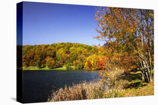 Highland Autumn I-Alan Hausenflock-Stretched Canvas