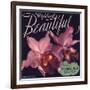 Highland Beautiful Brand - Highland, California - Citrus Crate Label-Lantern Press-Framed Art Print