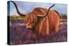 Highland Bull in Scotish Heather, 2018 (Pastel)-Margo Starkey-Stretched Canvas