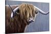 Highland Bull Rainy Day-Jeremy Paul-Stretched Canvas