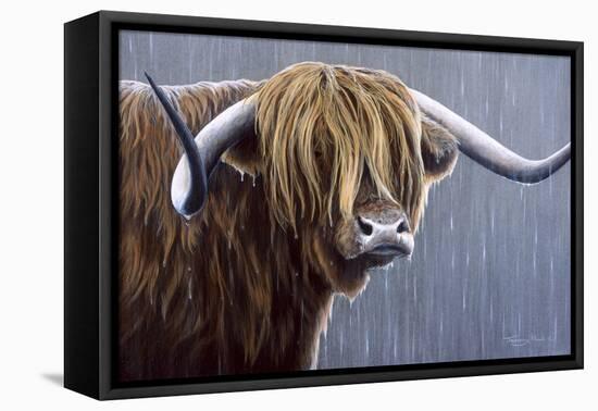Highland Bull Rainy Day-Jeremy Paul-Framed Stretched Canvas