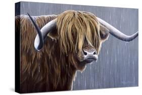 Highland Bull Rainy Day-Jeremy Paul-Stretched Canvas