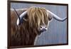 Highland Bull Rainy Day-Jeremy Paul-Framed Giclee Print