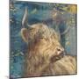 Highland Bull-Dina Peregojina-Mounted Art Print