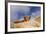 Highland Calf (Bos Taurus) Looking Over The Back Of Its Mother, Tiree, Scotland Uk. May 2006-Niall Benvie-Framed Photographic Print