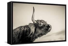 Highland Cattle 2-Mark Gemmell-Framed Stretched Canvas