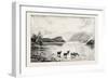 Highland Cattle Among the Islands in Loch Lomond-null-Framed Giclee Print