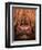 Highland Cattle, Head Close-Up, Scotland-Niall Benvie-Framed Premium Photographic Print