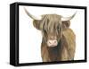 Highland Cattle II-Grace Popp-Framed Stretched Canvas