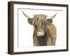 Highland Cattle II-Grace Popp-Framed Art Print