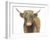 Highland Cattle II-Grace Popp-Framed Art Print