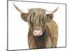 Highland Cattle II-Grace Popp-Mounted Art Print