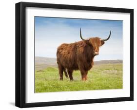 Highland Cattle, Isle of Skye, Scotland, United Kingdom, Europe-Nick Servian-Framed Photographic Print