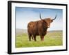 Highland Cattle, Isle of Skye, Scotland, United Kingdom, Europe-Nick Servian-Framed Photographic Print