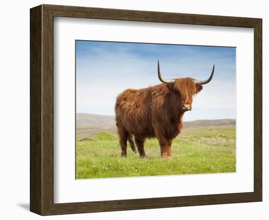 Highland Cattle, Isle of Skye, Scotland, United Kingdom, Europe-Nick Servian-Framed Photographic Print