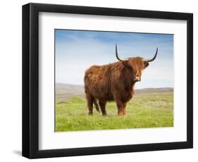 Highland Cattle, Isle of Skye, Scotland, United Kingdom, Europe-Nick Servian-Framed Photographic Print