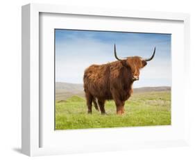 Highland Cattle, Isle of Skye, Scotland, United Kingdom, Europe-Nick Servian-Framed Photographic Print