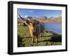 Highland Cattle, Loch Hainort and Red Cuillins, Isle of Skye, Inner Hebrides, Scotland-Patrick Dieudonne-Framed Photographic Print