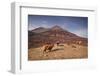 Highland Cattle on the Isle of Skye in the Highlands-Julian Elliott-Framed Photographic Print