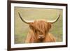 Highland cattle, Scotland, United Kingdom, Europe-Neil Emmerson-Framed Photographic Print