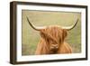 Highland cattle, Scotland, United Kingdom, Europe-Neil Emmerson-Framed Photographic Print