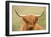 Highland cattle, Scotland, United Kingdom, Europe-Neil Emmerson-Framed Photographic Print