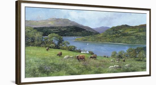 Highland Cattle-Clive Madgwick-Framed Giclee Print