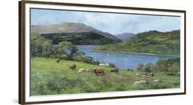 Highland Cattle-Clive Madgwick-Framed Giclee Print