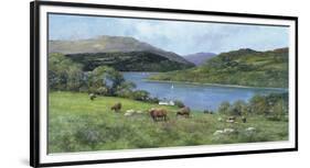 Highland Cattle-Clive Madgwick-Framed Giclee Print