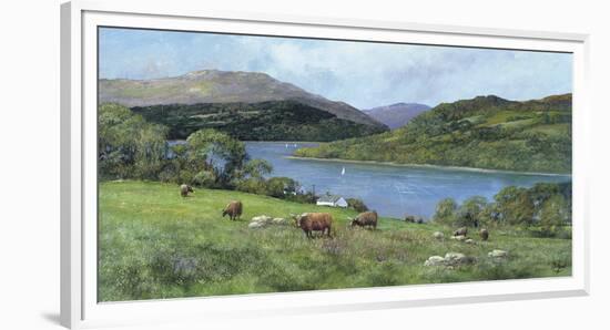 Highland Cattle-Clive Madgwick-Framed Giclee Print