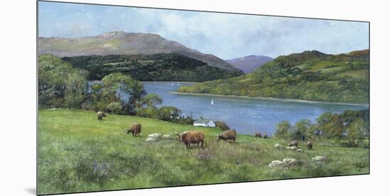Highland Cattle-Clive Madgwick-Mounted Giclee Print