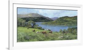 Highland Cattle-Clive Madgwick-Framed Giclee Print