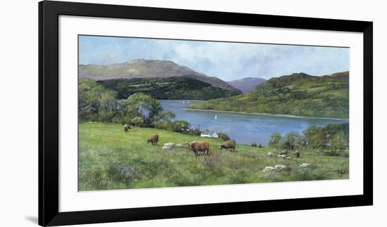 Highland Cattle-Clive Madgwick-Framed Giclee Print