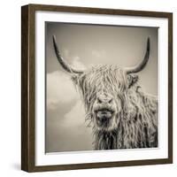 Highland Cattle-Mark Gemmell-Framed Premium Photographic Print