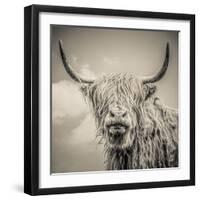 Highland Cattle-Mark Gemmell-Framed Premium Photographic Print