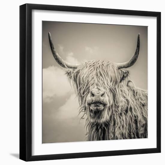 Highland Cattle-Mark Gemmell-Framed Premium Photographic Print