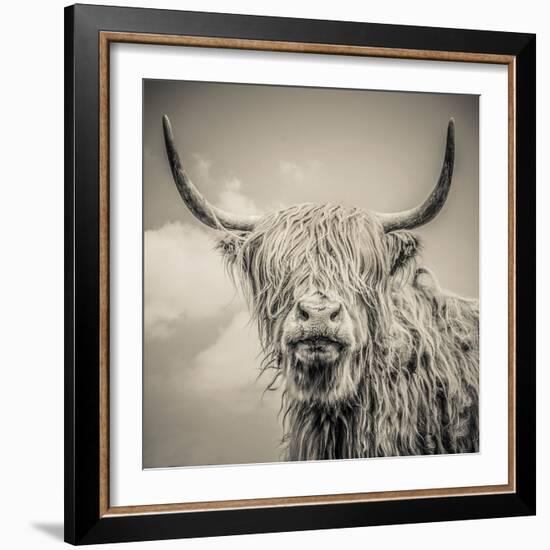 Highland Cattle-Mark Gemmell-Framed Premium Photographic Print