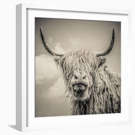 Highland Cattle-Mark Gemmell-Framed Premium Photographic Print